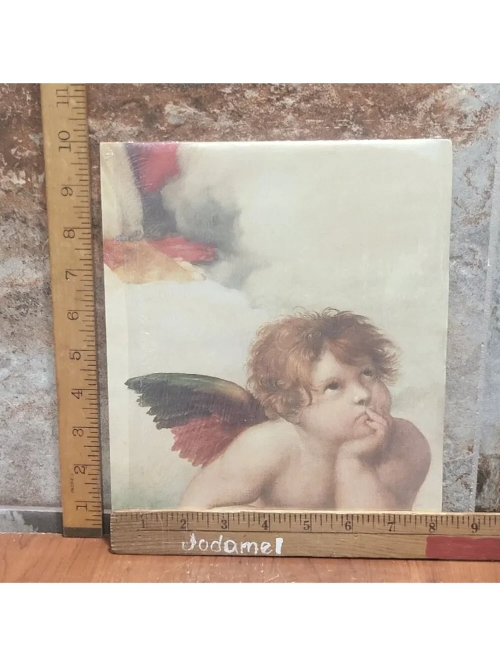 Vintage Unframed Sistine Madonna Cherubs Angelo I Art Print Raphael Angels 1995